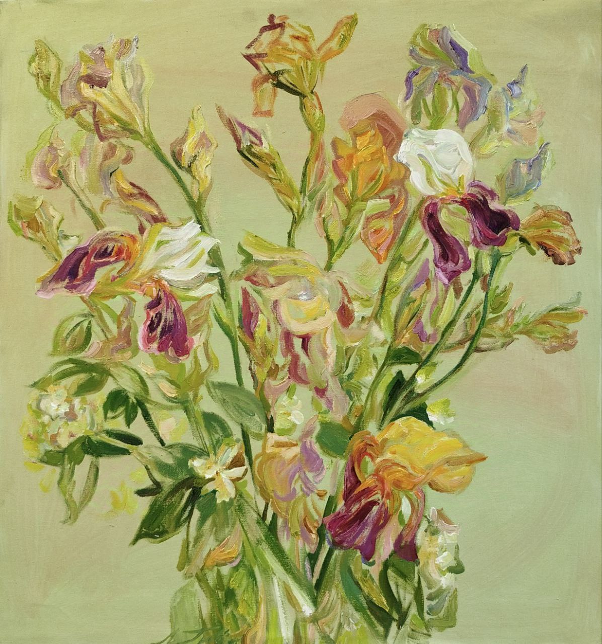 Irises on a light green